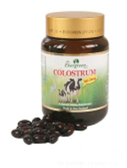 Evergreen���z����