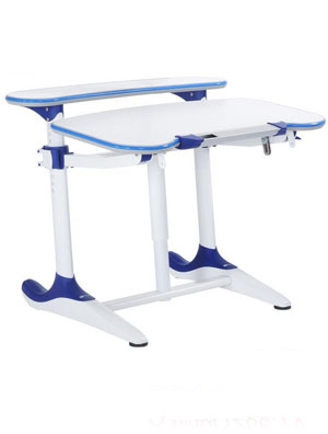 ��ʿ�г����w���W�΃�ͯ�W���ζ๦�܌W����