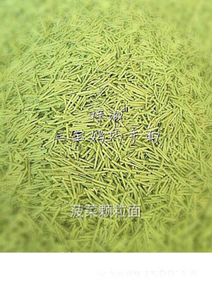 �����������w����