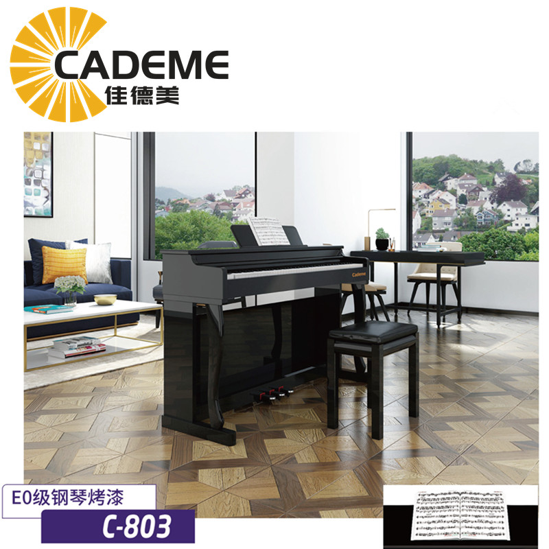 Ȫ�ݼѵ�������88�I���N�I�PC-803