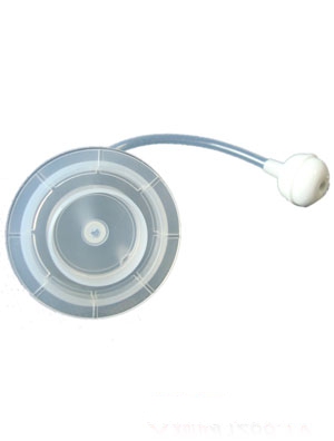 �ۘ��ی��ڏ�Һ�w���z����