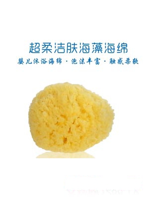 ��ɭ�Ơ����ᝍ�w���庣��AW6