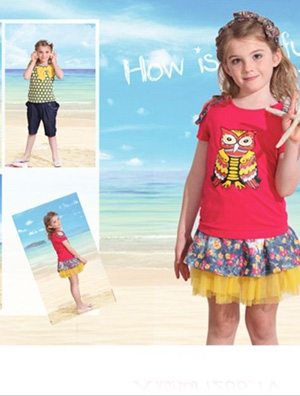 ����ؐ��2013����Ʒ