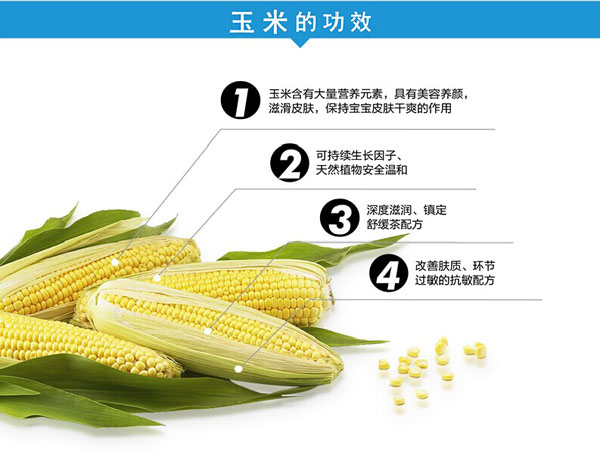 �������ȋ��׃������