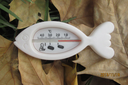 ���ѐ�С�~�ض�Ӌ