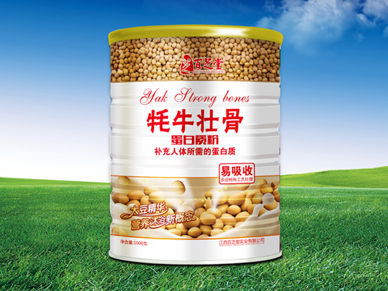 ��֥����ţ�Ƿ۵����|��