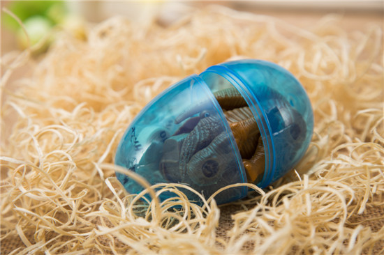 �������ߵ�