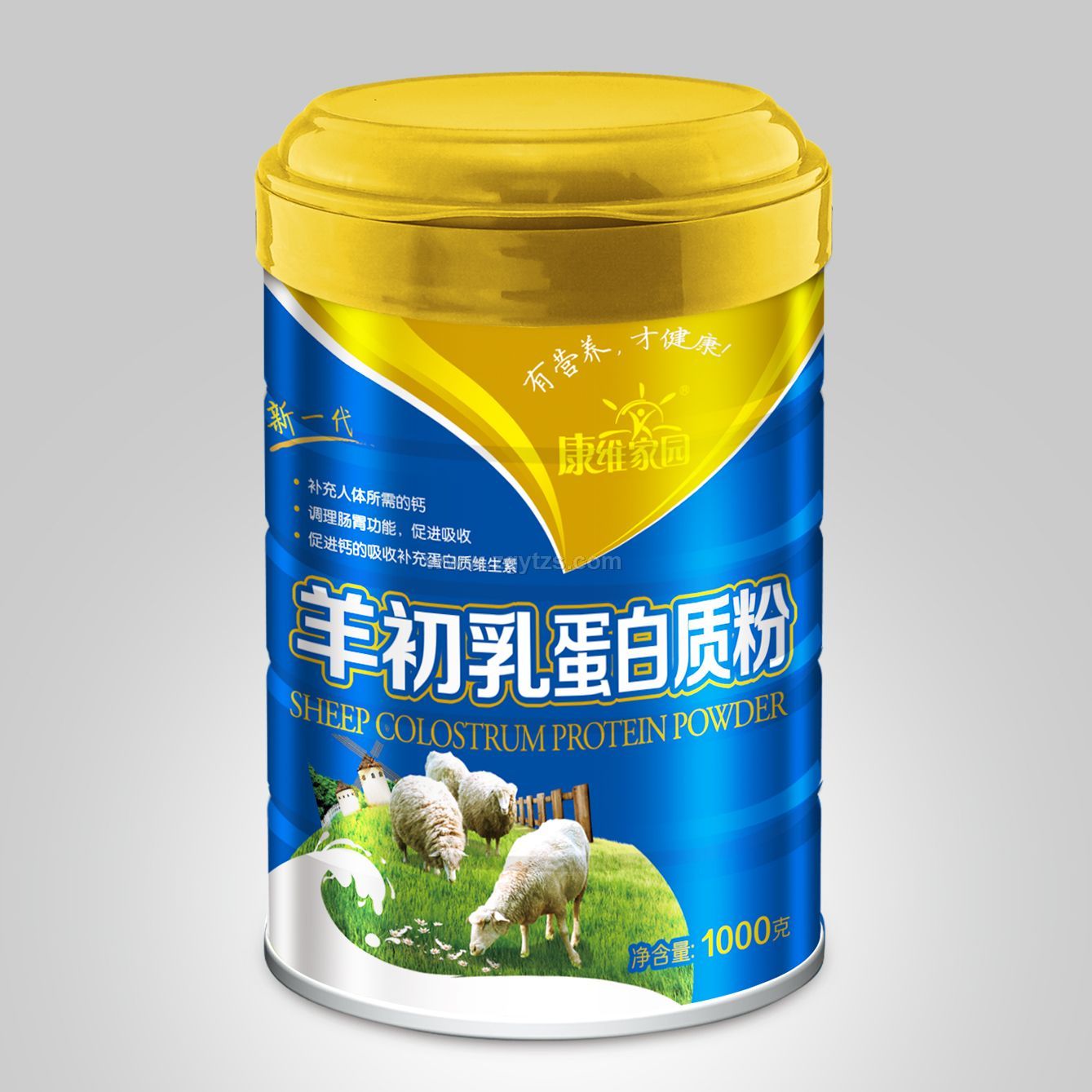 ����鵰���|(zh��)��