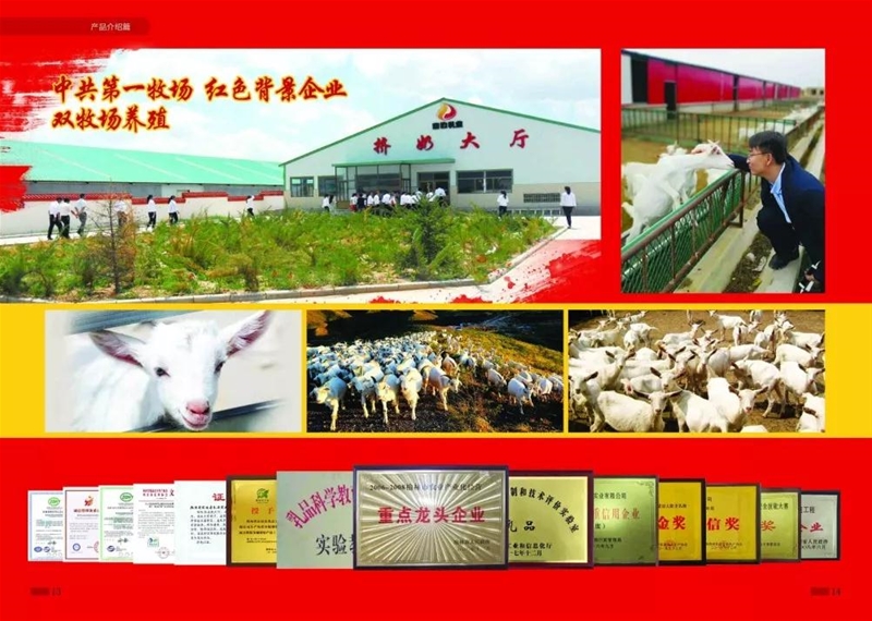 ����ϵ�����̷�