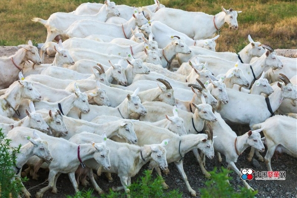 ���̷����M�����{���@ʾ ���߳����M���P����Դ