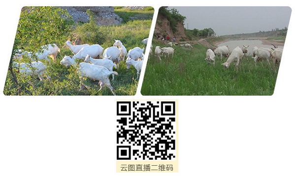 ���̷����M�����{���@ʾ ���߳����M���P����Դ