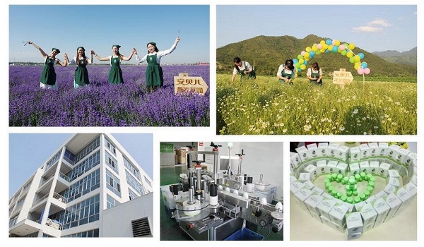 ��ؐ���N�ĺ��o(h��)ף��2019�i����\(y��n)�����H���Ҹ���