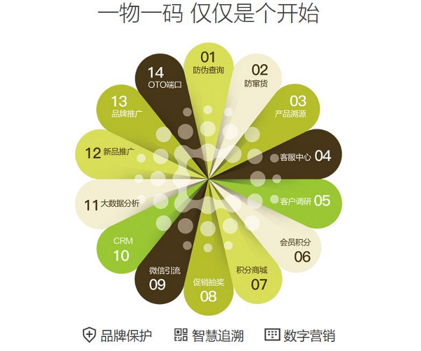 2019CNN����ף����f�½���� ���\�D��ͣ��