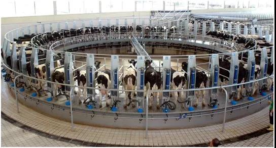 ���ͺ��ؼӿ����M��I�������顰�鶼���lչ�ṩ����