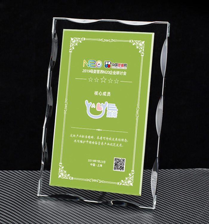 ĸ��I�B�a�I������ ���R���cN20������������