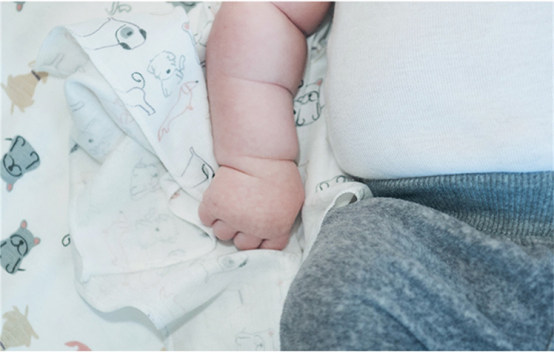 ���ô�ĸ��Ʒ��Nest Designs�y�֡������𡱞�100ֻ���˹��ṩ���¼�