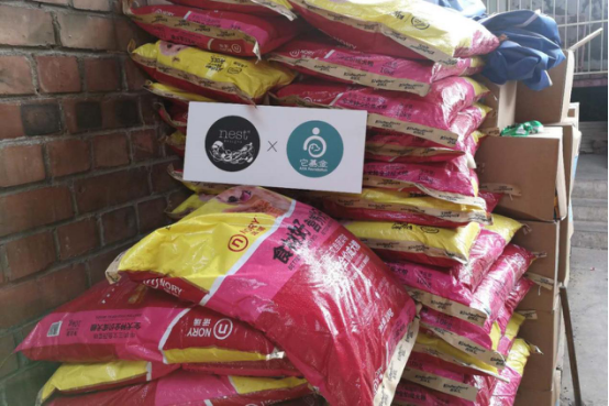 ���ô�ĸ��Ʒ��Nest Designs�y�֡������𡱞�100ֻ���˹��ṩ���¼�