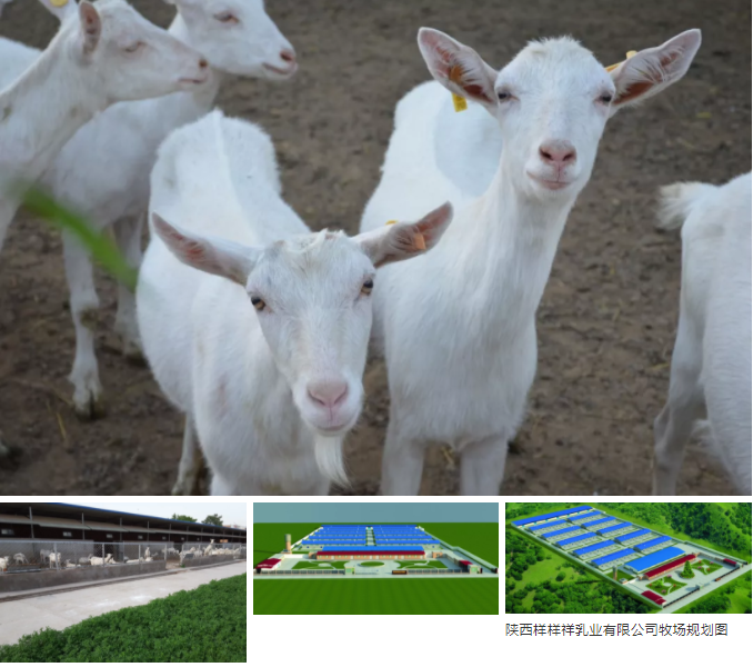 ����Ә�����I���޹�˾ ���ʡ��Ʒ�|����ȫ�·��������]��I