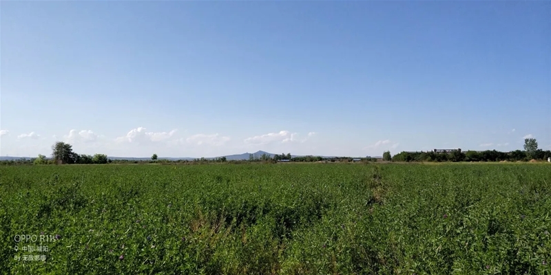 ���M�Ї����̳ǣ�ȥ̽����һ�������̡�����Ĺ���