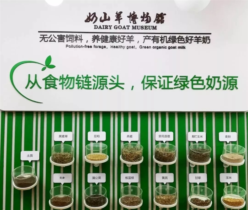 ���M�Ї����̳ǣ�ȥ̽����һ�������̡�����Ĺ���