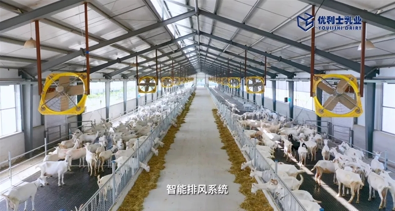 ���M�Ї����̳ǣ�ȥ̽����һ�������̡�����Ĺ���