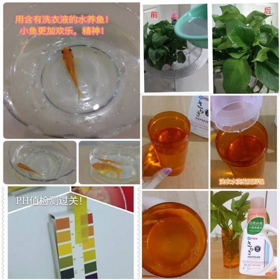 ��ħ�Ԍ�򞼯�\����ϴ��Һ߀���@ô�惺