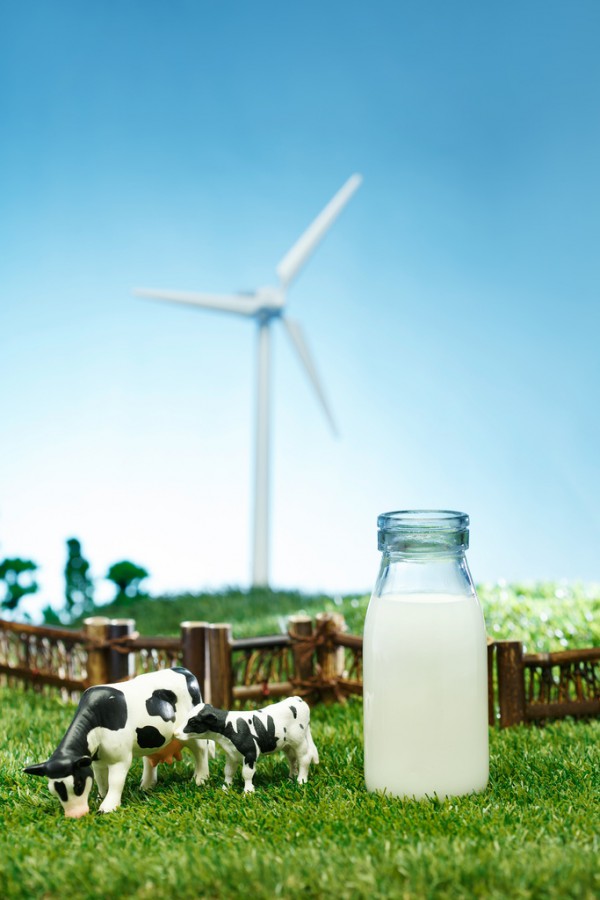 ��ٝ��׷�Ӿ�ٛ�l�����o�������Єӣ��YԮ�����Юa�DȺ�w