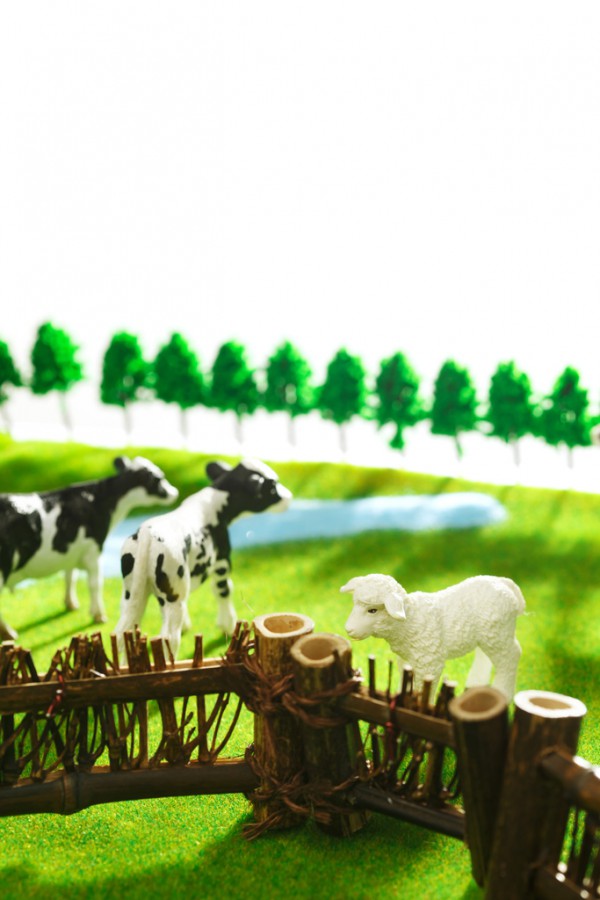 �̷ۏ����Ǵ��Ե��Cˇ�I(y��ng)�N(xi��o)��Ʒ�ơ�����(qu��n)�����l(f��)��(qi��ng)