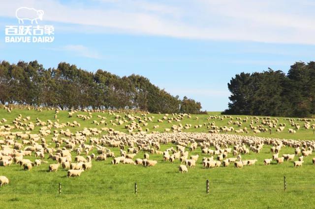 ���S�������̷�| ������������aƷ����؟��������Ʒ��