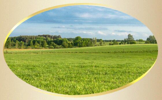 �������|�����̷۷�����Դ�ɾͽ���Ʒ�|