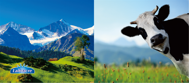 �R�������x�W�ރ��|Ʒ�|��Դ��Ʒ�|�ڱ��p�J�C