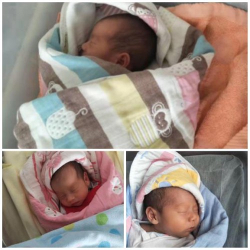 ��ӭ�������x��ͬ�У���Ʒ���x������̥��ͥ��ٛȫ���̷�