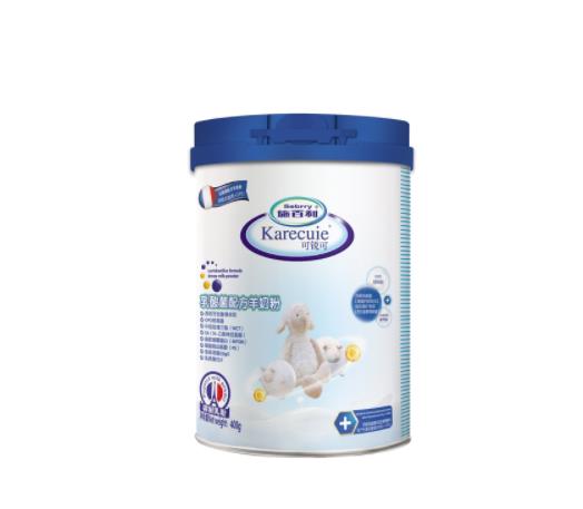 �ȵ����|�ی��Ћ��͌�������Щ��̎��