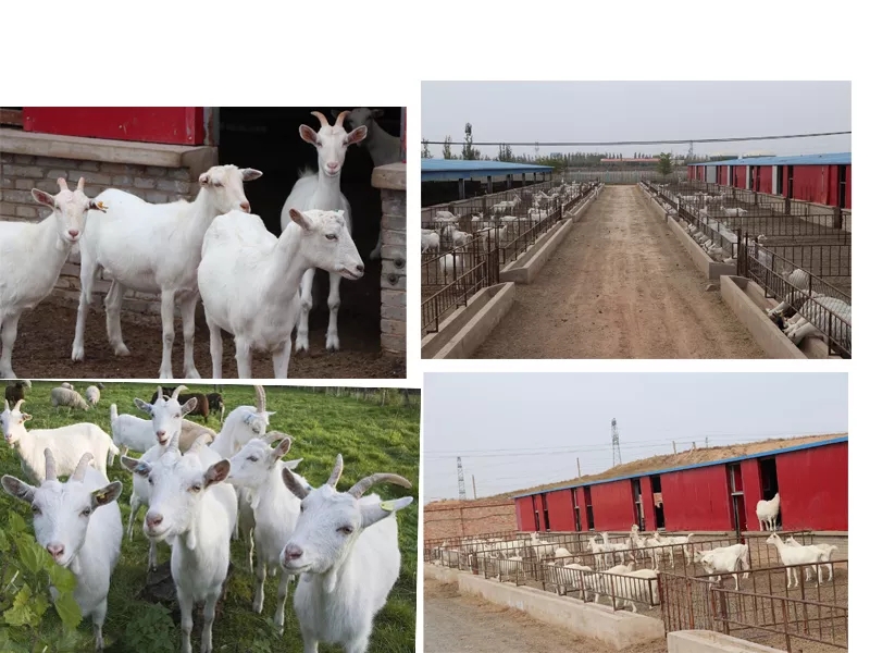 ��߅��(bi��o)��(zh��n)ʾ������������Ʒ��ȫ�춨���A(ch��)