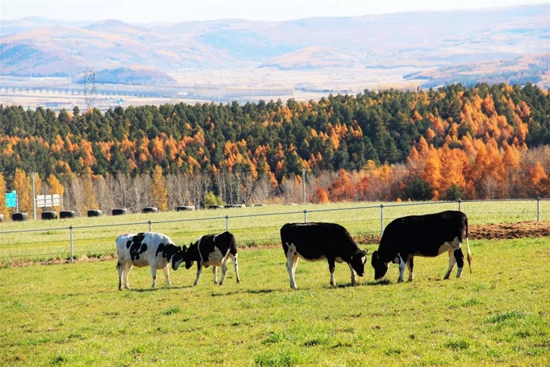 һ��ţ�̵�׃��ӛ ���V��t���ЙC������