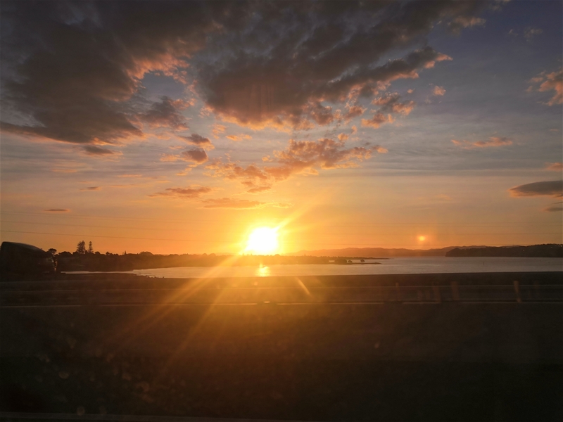 �����mҊ�C֮�� ̽����֥��Ʒ�|�I�BƷ