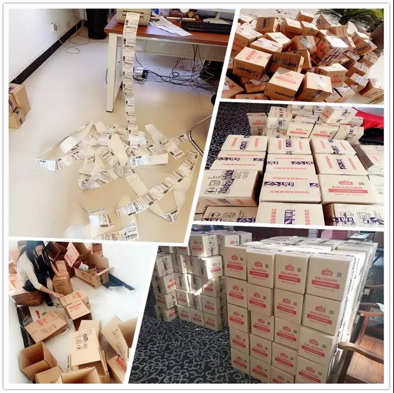 �ȃ�ؐ�̷ۑ{����󃞄���׷�������Ͼ����Ȼ