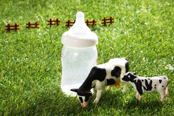 奶粉細分市場的“黃金分割點”:供應鏈 奶粉細分市場的“黃金分割點”:供應鏈