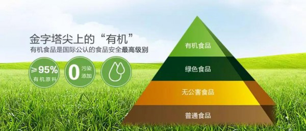 �ЙC�̷�څ��֮��  �v���ЙC���º���Ҫ