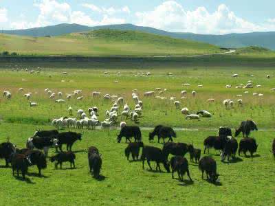 ��������˾�ռ�����_����ƽ��ˮƽ