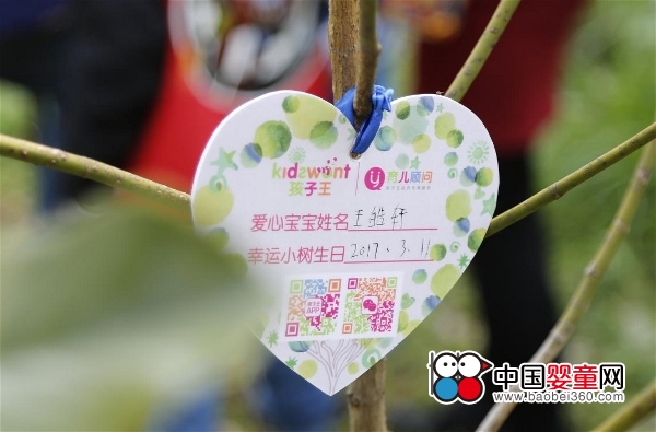 ������80����ֲ�九 �f�����T�͵���һ�ݶY��