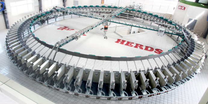 ������I�M�A���x��2019������I���ܡ��岿����