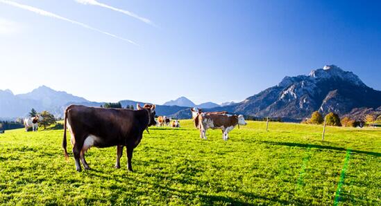 �{(l��n)���ٶȣ�ȫ�a(ch��n)�I(y��)朲��� �������ĸ�(j��ng)��(zh��ng)��