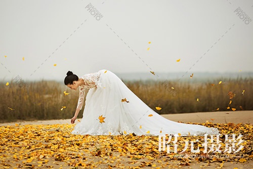 ������Ҫ�������� �������߀�Æ᣿