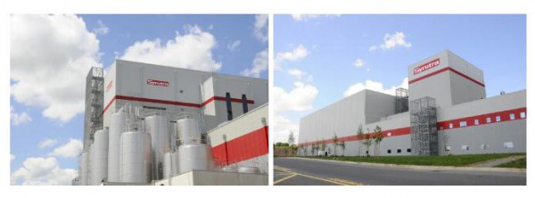 ����Ʒ�|(zh��)��ʥԪ��(y��u)�����Ƈ������d