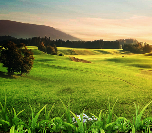 �ЙC(j��)�̷۰l(f��)չ���g�� �ǹ��S�����Ʒ�|(zh��)ֵ����ه