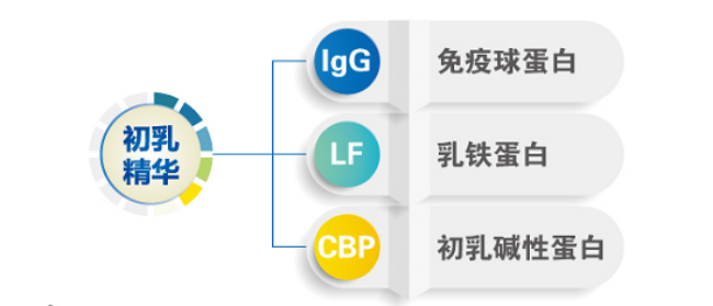 ��֥���׽��{����ۼ����ǈ� �۽�����CBP�I��ȫ���x������