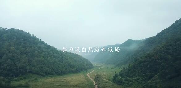 ����Դ����Ʒ�| ��Ӳ�ˌ����fԒ