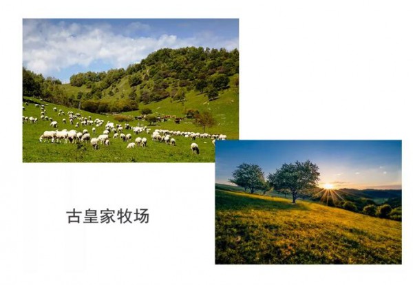 �Ї�(gu��)�������A�Σ�����P(gu��n)����ɽ��a(ch��n)�I(y��)�о�Ժ������