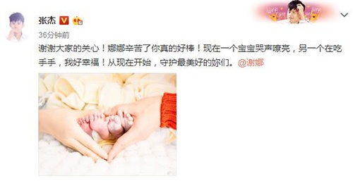 謝娜產下雙胞胎 張杰升級當爸爸